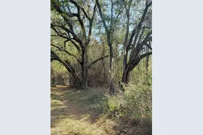 000 First Street, Hawthorne, FL 32640 - Photo 9