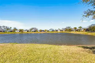 10934 Sand Pine Ln, Parrish, FL 34219 - Photo 51