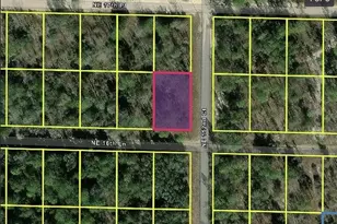 0 NE 16th Pl, Williston, FL 32696 - Photo 1