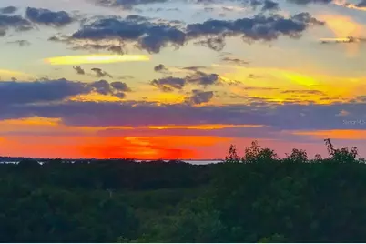 4517 Pinfish Lane, Palmetto, FL 34221 - Photo 79