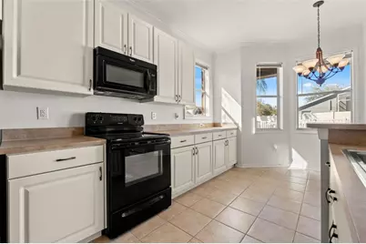 17343 Lawn Orchid Loop, Land O Lakes, FL 34638 - Photo 27