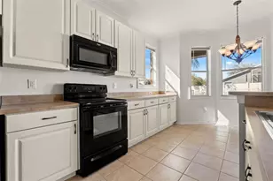 17343 Lawn Orchid Loop, Land O Lakes, FL 34638 - Photo 27