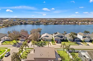 17343 Lawn Orchid Loop, Land O Lakes, FL 34638 - Photo 5