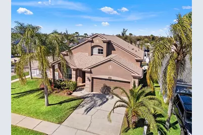 17343 Lawn Orchid Loop, Land O Lakes, FL 34638 - Photo 7