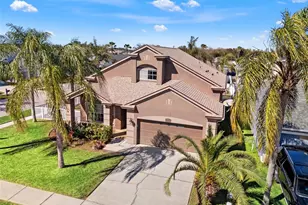 17343 Lawn Orchid Loop, Land O Lakes, FL 34638 - Photo 7