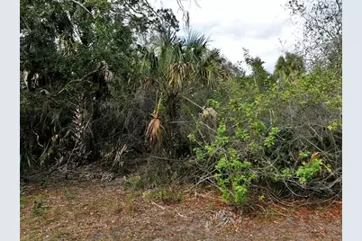 Alfa Terrace, North Port, FL 34286 - Photo 1