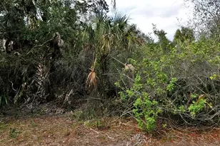 Alfa Terrace, North Port, FL 34286 - Photo 1