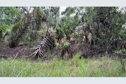 Nw Scout Avenue, Arcadia, FL 34266 - Photo 3