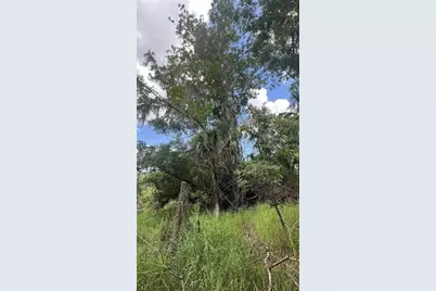 Nw Scout Avenue, Arcadia, FL 34266 - Photo 5