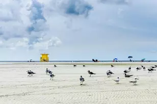 7919 Limestone Ln, Sarasota, FL 34233 - Photo 99