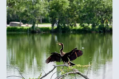 7919 Limestone Lane #13-204, Sarasota, FL 34233 - Photo 63