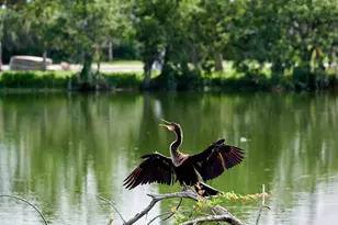 7919 Limestone Ln, Sarasota, FL 34233 - Photo 63