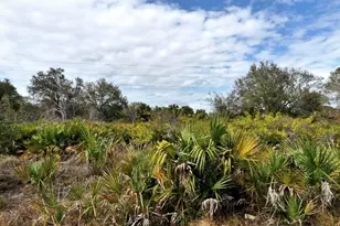 Wylam Dr, North Port, FL 34288 - Photo 1