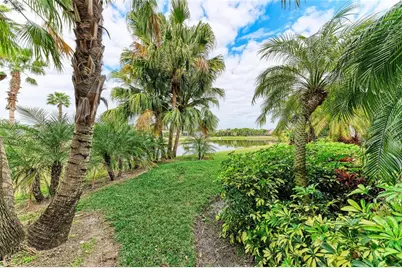 302 Cockle Shell Loop, Apollo Beach, FL 33572 - Photo 61