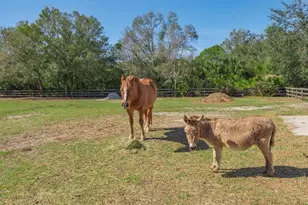 7610 Saddle Creek Trail, Sarasota, FL 34241 - Photo 61