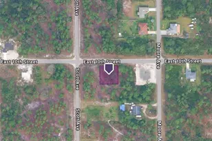 3902 East 10th Street, Lehigh Acres, FL 33972 - Photo 3