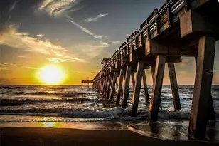 20380 Symphony Pl, Venice, FL 34293 - Photo 51