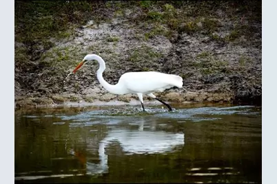35005 Clay Gully Road, Myakka City, FL 34251 - Photo 73