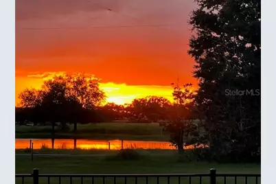 35005 Clay Gully Road, Myakka City, FL 34251 - Photo 69