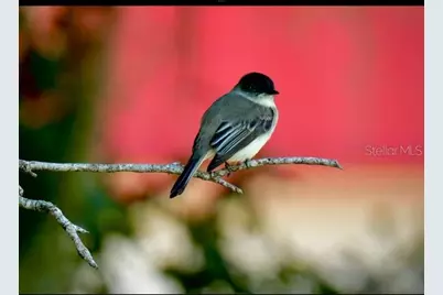 35005 Clay Gully Road, Myakka City, FL 34251 - Photo 71