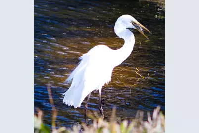 863 Audubon Drive #863, Bradenton, FL 34209 - Photo 25