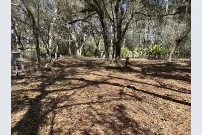 10630 NE 207th Lane, Fort Mc Coy, FL 32134 - Photo 7