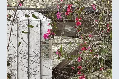 10630 NE 207th Lane, Fort Mc Coy, FL 32134 - Photo 9