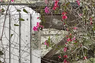 10630 NE 207th Ln, Fort Mc Coy, FL 32134 - Photo 9