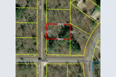 0 NE 151st Avenue, Williston, FL 32696 - Photo 1