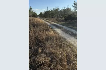 0 NE 151st Avenue, Williston, FL 32696 - Photo 3