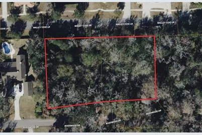 211 Riverwood Drive, Fleming Island, FL 32003 - Photo 1