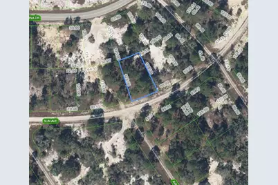 370 Sun Avenue, Lake Placid, FL 33852 - Photo 1