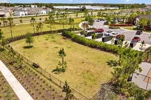 5554 Blue Azure Dr, Wimauma, FL 33598 - Photo 43