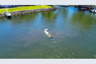 3861 N Ringdove Point, Crystal River, FL 34428 - Photo 39