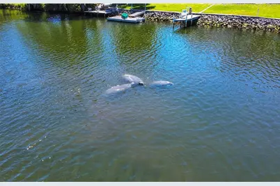 3861 N Ringdove Point, Crystal River, FL 34428 - Photo 9