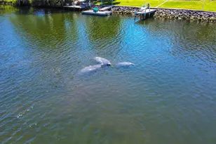 3861 N Ringdove Point, Crystal River, FL 34428 - Photo 9