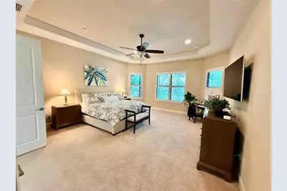 10107 Wicker Park Place, Palmetto, FL 34221 - Photo 69