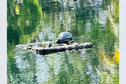 5061 Barrington Circle #1302, Sarasota, FL 34234 - Photo 41