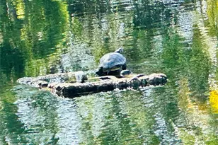 5061 Barrington Cir, Sarasota, FL 34234 - Photo 41