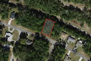 9875 N Sandree Dr, Citrus Springs, FL 34434 - Photo 1