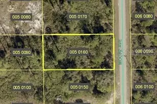 807 Moore Ave, Lehigh Acres, FL 33972 - Photo 1