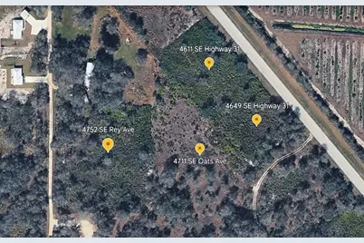 4611 SE Highway 31, Arcadia, FL 34266 - Photo 5