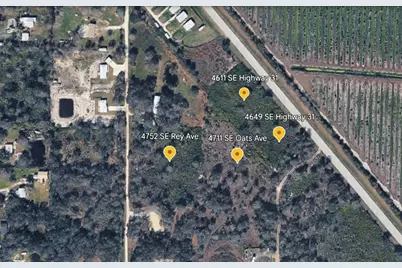 4611 SE Highway 31, Arcadia, FL 34266 - Photo 3