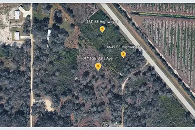 4711 SE Oats Avenue, Arcadia, FL 34266 - Photo 3