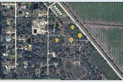 4711 SE Oats Avenue, Arcadia, FL 34266 - Photo 5