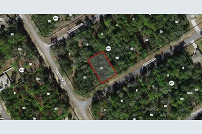 271 W Ruska Place, Citrus Springs, FL 34434 - Photo 3