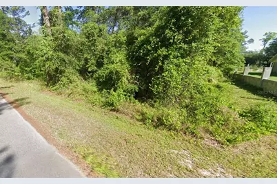 Sequoia Drive, Ocklawaha, FL 32179 - Photo 3