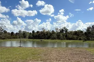 13123 Sassafras Trl, Parrish, FL 34219 - Photo 13