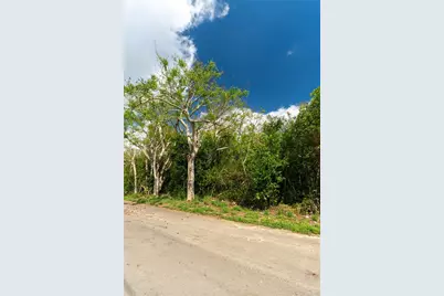 0 Tom Sheffield Road, Frostproof, FL 33843 - Photo 19