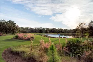 19438 Beacon Park Pl, Bradenton, FL 34202 - Photo 87